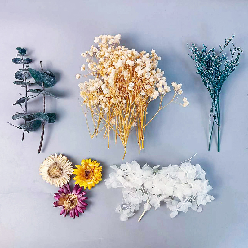 Craft Embellishment - Ensemble de fleurs séchées multiples, 1
