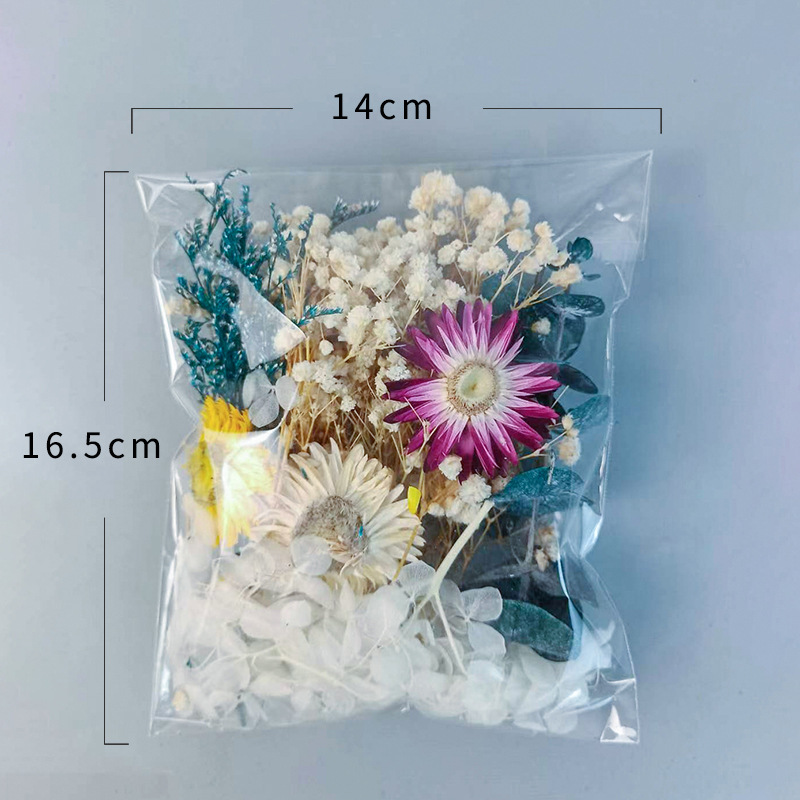 Ensemble de fleurs séchées mul - Craft Embellishment avis et prix