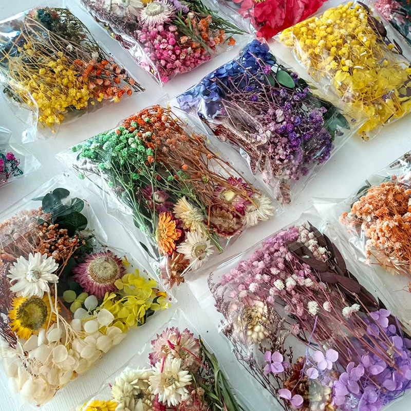 Ensemble de fleurs séchées mul - Craft Embellishment avis et prix